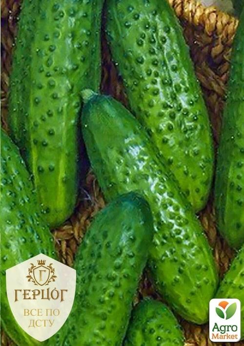 Огурец "Герцог" "Чернобрывцы" ТМ "Весна" 2г