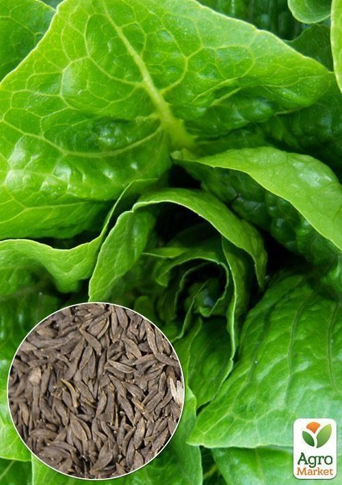 На развес Салат "Ромен" ТМ "Весна" цена за 2г