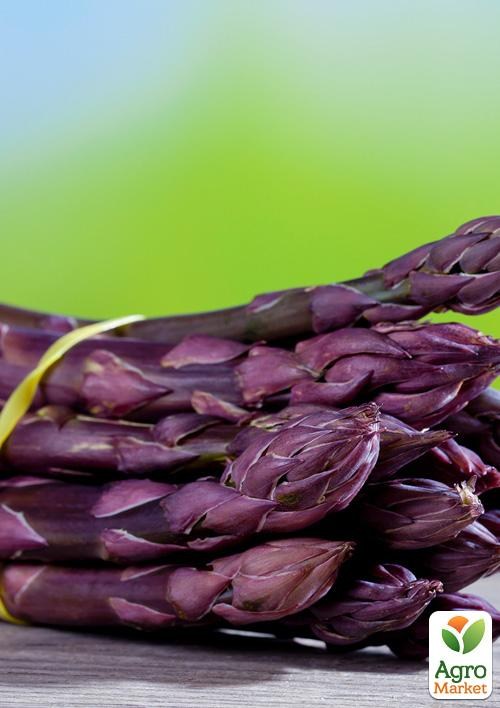 Спаржа делікатесна "RosalieF1" (гібрид фіолетовою спаржі) - фото 2