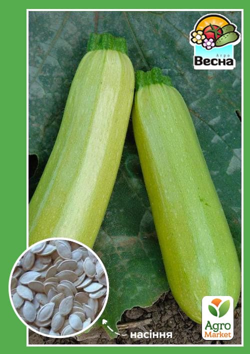 Кабачок "Білий лебідь" ТМ "Весна" 2г