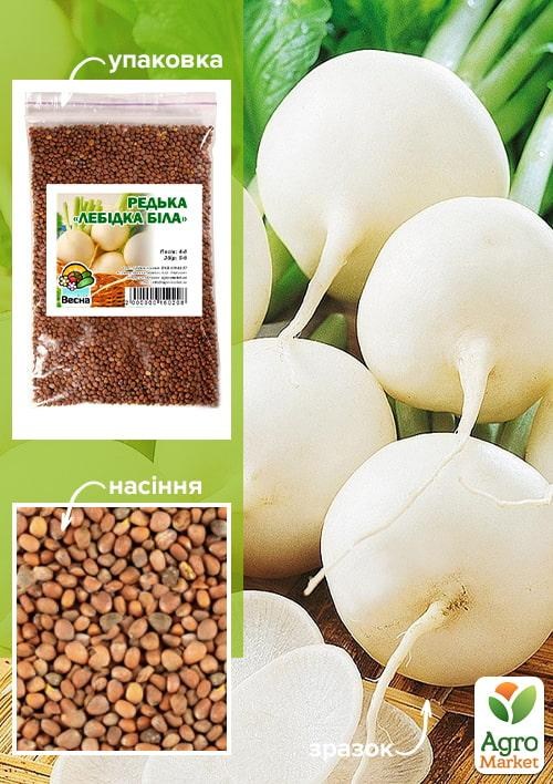 Редька "Лебідка біла" ТМ "Весна" 100г