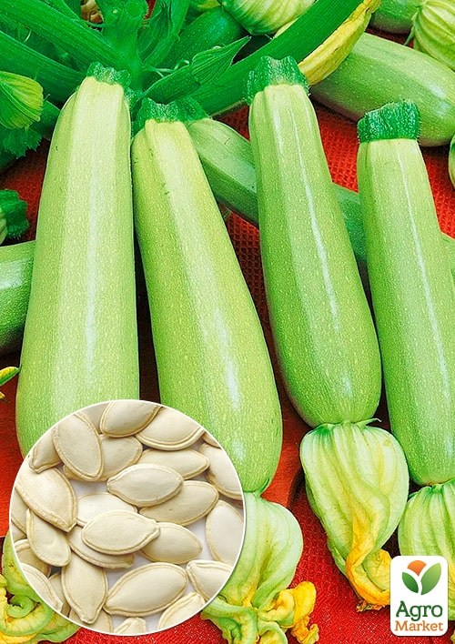 Кабачок "Аспирант" (Зипер) ТМ "Весна" 5г