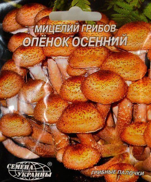 Опёнок "Осенний" ТМ "Семена Украины" 10шт