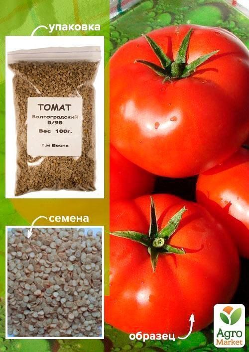 Томат "Волгоградський 5/95" ТМ "Весна" 100г