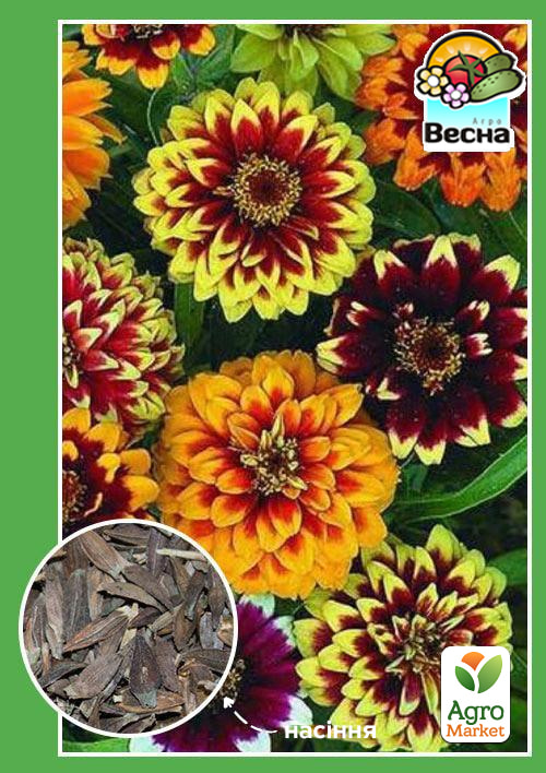 Цинія "Карусель" ТМ "Весна" 0.4г