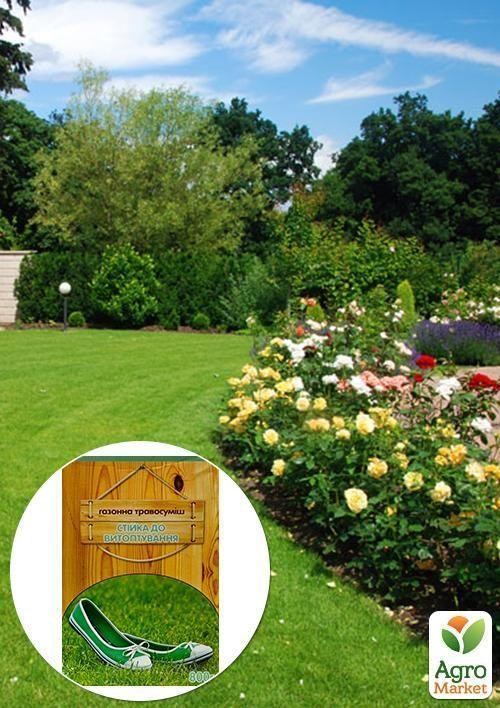 Газонная травосмесь "Стойкий к вытаптыванию" ТМ "Семейный сад" 800г