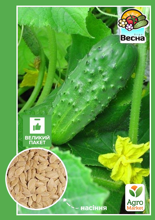 Огурец "Соплица F1" (Большой пакет) ТМ "Весна" 1.5г