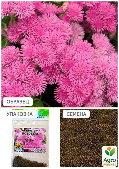 Агератум "Рожевий" (Зипер) ТМ "Весна" 1г - фото 3