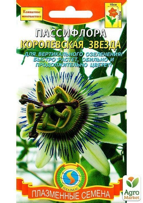Пассифлора "Королівська зірка" ТМ "Плазмові насіння" 5шт