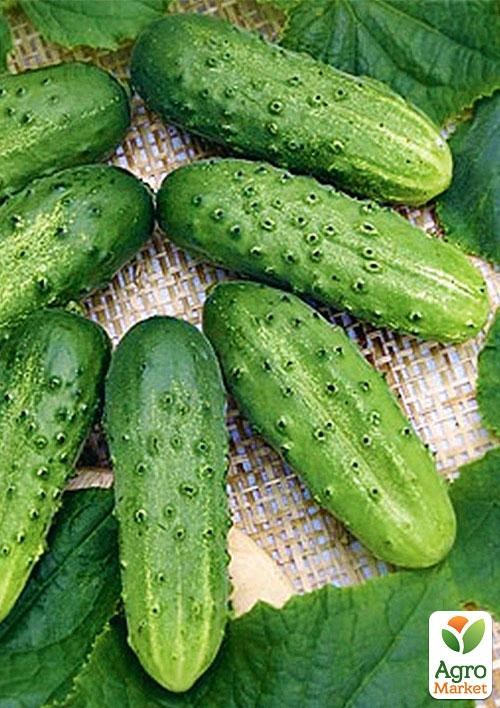 Огурец "Лилипут" (в банке) ТМ "Весна Органик" 3г