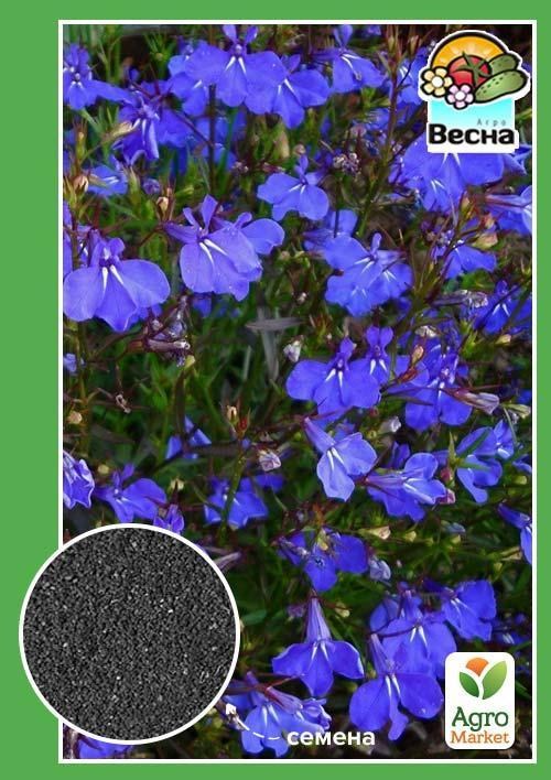Лобелия "Мистер Климбран" ТМ "Весна" 0.1г