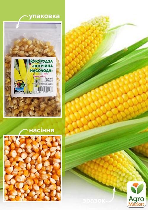 Кукурудза "Потрійна насолода" ТМ "Весна" 100г
