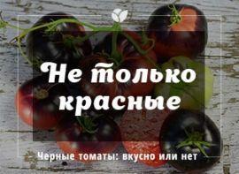 Черные помидоры: вкусно или дань моде
