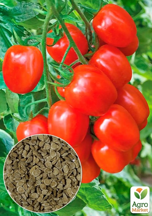 Томат "Амулет " ТМ "Весна" 0.2г