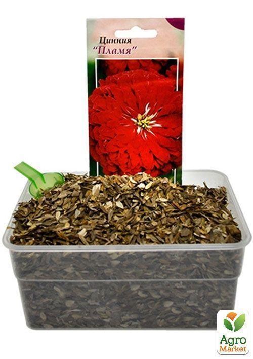 На развес Циния "Пламя" ТМ "Весна" цена за 3г - фото 3