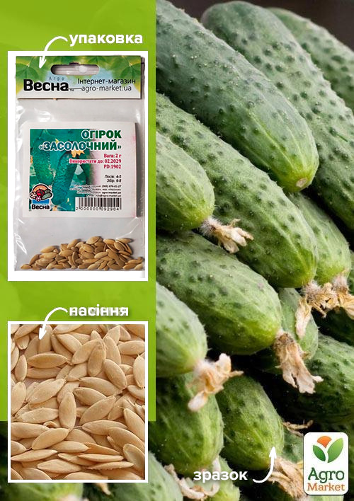 Огірок "Засолочний" (Зипер) ТМ "Весна" 2г
