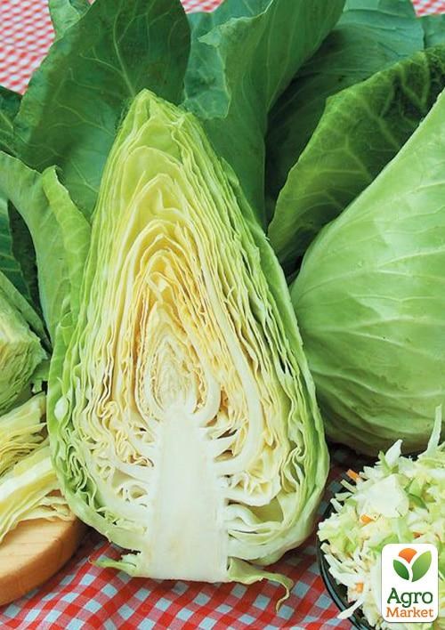 Капуста коническая "Агро F1" ТМ "Lark Seeds" 2500шт