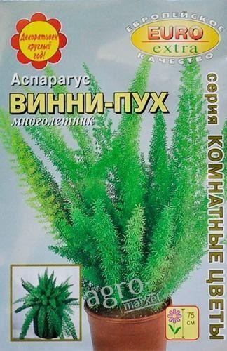 Аспарагус "Винни-пух" ТМ "Аэлита" 3шт