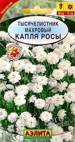 Деревій махровий "Крапля роси" ТМ "АЕЛІТА" 0.1г