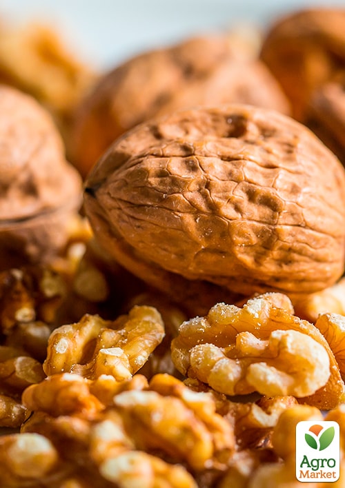 Волоський горіх "Кочерженко" (ранній термін дозрівання)