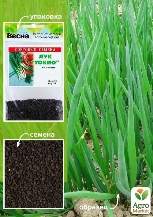 Лук "Токио" (Зипер) ТМ "Весна" 2г
