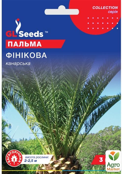 Пальма канарская "Финиковая" ТМ "GL SEEDS" 3шт