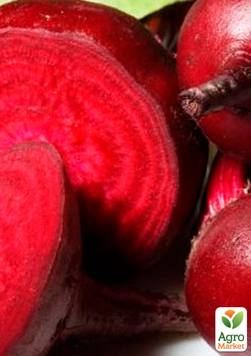 На развес Свекла "Бордо" ТМ "Весна" цена за 10г - фото 2