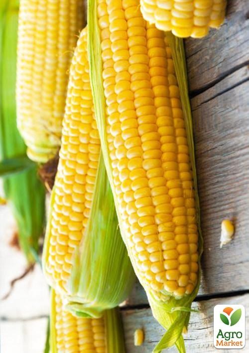 Кукурудза "Солодке дитинство" (у банці) ТМ "Весна" 100г