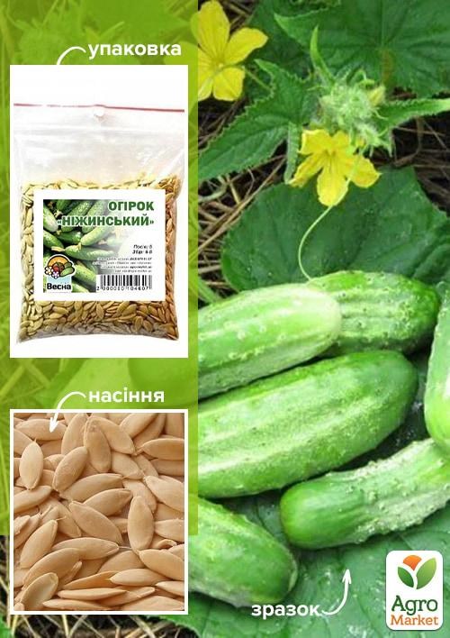 Огурец "Нежинский" ТМ "Весна" 100г