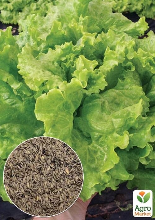 Салат "Всесезонный" (Зипер) ТМ "Весна" 3г