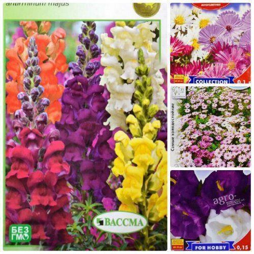 Комплект семян цветов "Ароматный всплеск" 5уп