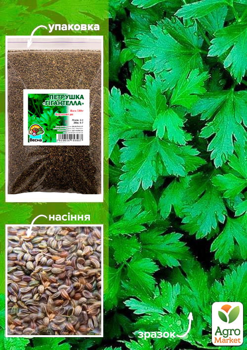 Петрушка "Гигантелла" ТМ "Весна" 500г