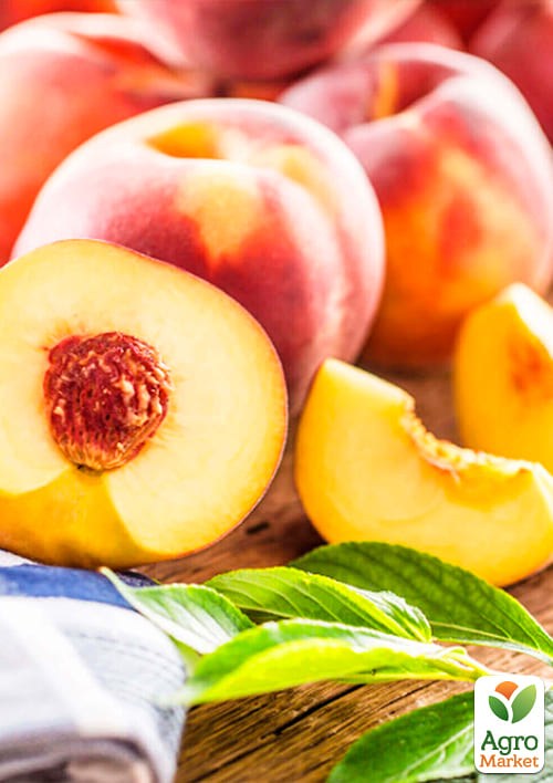 Персик "Казка" (літній сорт, середній термін дозрівання) - фото 2