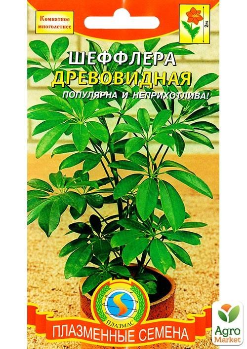 Шеффлер "Деревовидна" ТМ "Плазмові насіння" 5шт NEW