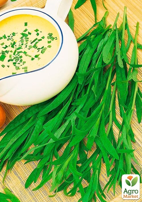 Тархун "Естрагон" (Зипер) ТМ "Весна" 0,5г - фото 2