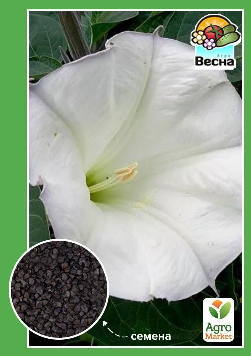 Датура "Біла" ТМ "Весна" 0.5г