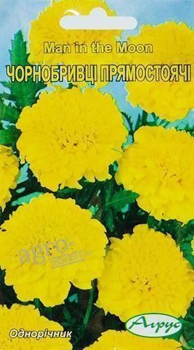 Бархатцы "Прямостоячие" ТМ "Агрус" 1г