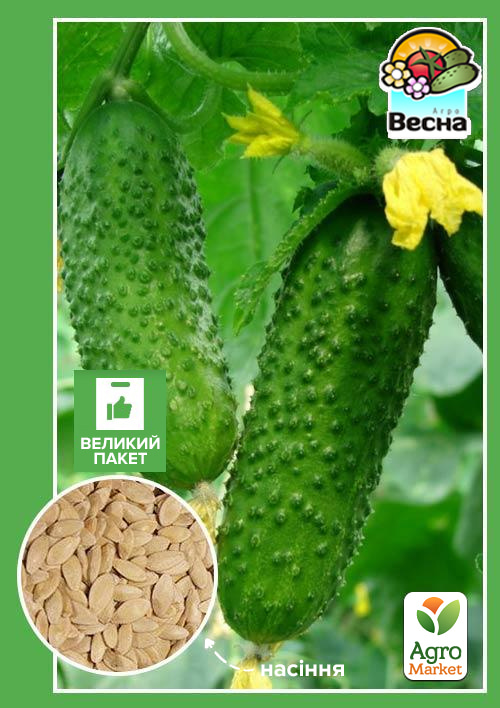 Огірок "Аладін F1" (Великий пакет) ТМ "Весна" 1.5г