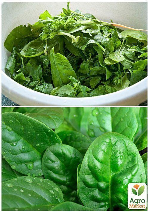 На вагу Шпинат "Жирнолистий" ТМ "Весна" ціна за 7г - фото 2