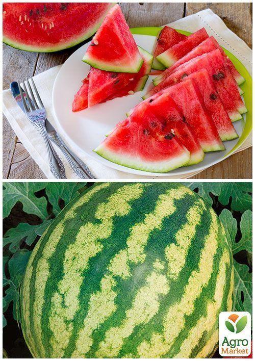 На вагу Кавун "Спаський" ТМ "Весна" ціна за 6г - фото 3