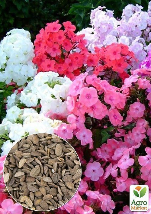 На развес Флокс смесь ТМ "Весна" цена за 1г