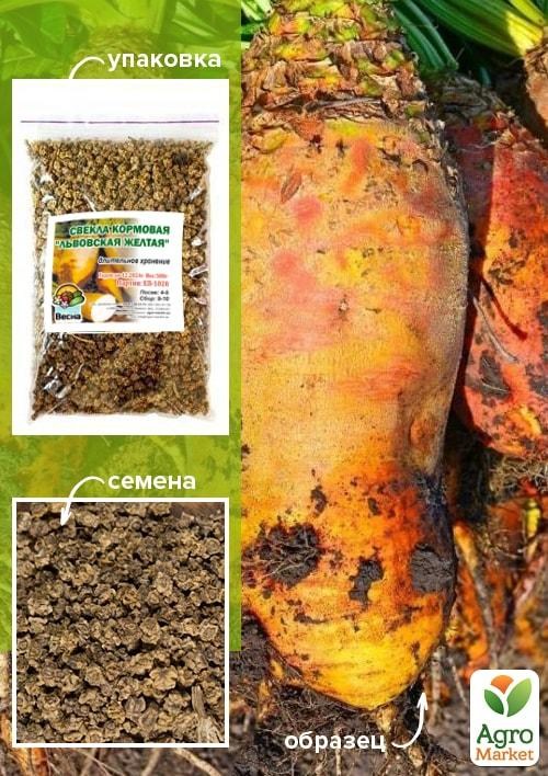Буряк Кормовий "Львівський жовтий" ТМ "Весна" 100г