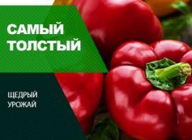 Сорти перцю товстостінного - корисні статті про садівництво від Agro-Market