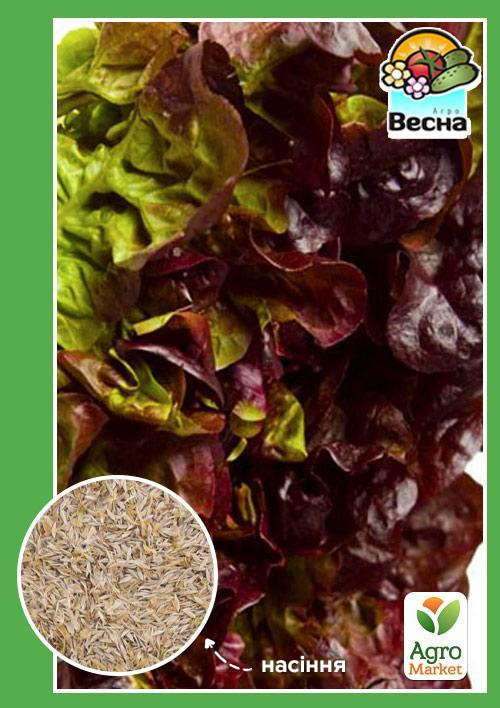 Салат листовий "Американський коричневий" ТМ "Весна" 0.5г