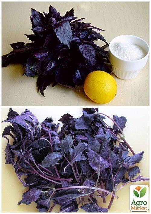 На вагу Базилік фіолетовий ТМ "Весна" ціна за 3г - фото 2