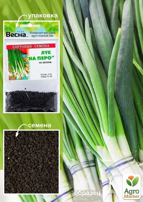 Лук "На перо" (Зипер) ТМ "Весна" 2г