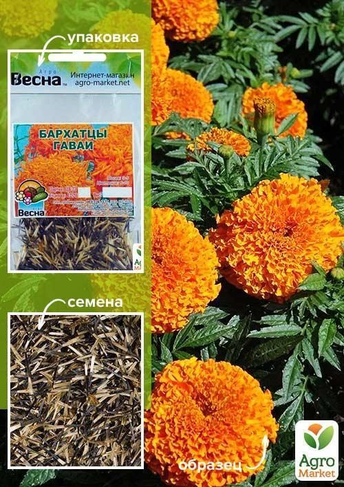 Бархатцы "Гаваи" (Зипер) ТМ "Весна" 1г