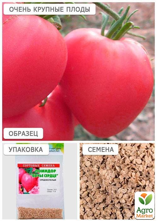 Томат "Бычье сердце розовое" (Зипер) ТМ "Весна" 0.5г - фото 4
