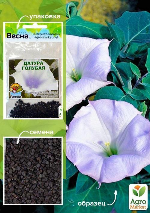 Датура "Блакитна" (Зипер) ТМ "Весна" 2г