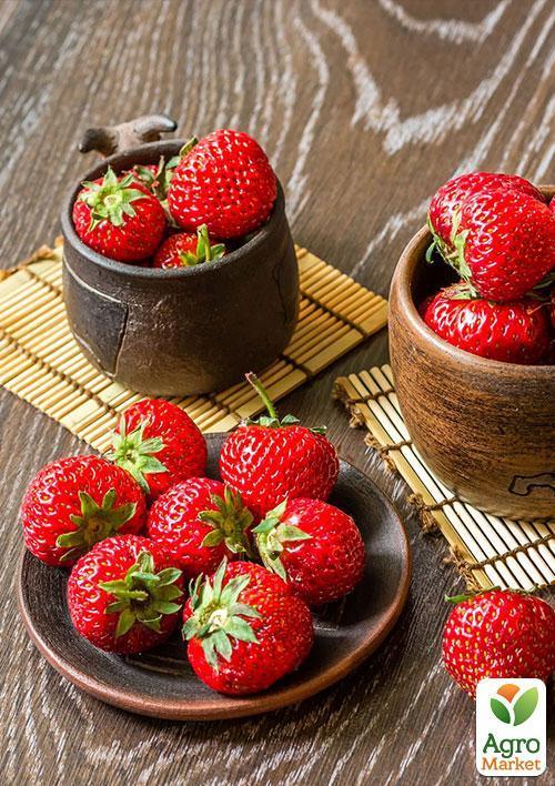 Полуниця "Флер" (Flair) (ультраранній термін дозрівання)